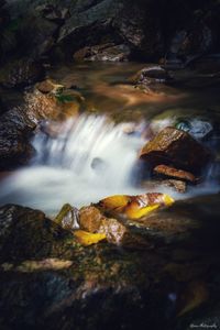 Scenic view of waterfall