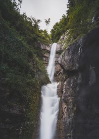 Low angle view of waterfall in forest