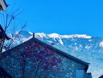 Low angle view of house and trees against clear blue sky