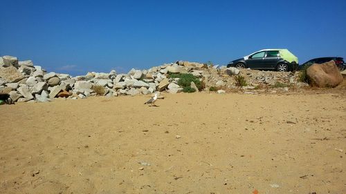 Scenic view of landscape against clear blue sky