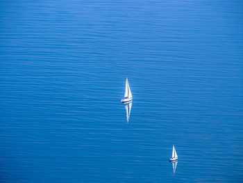 View of birds in water