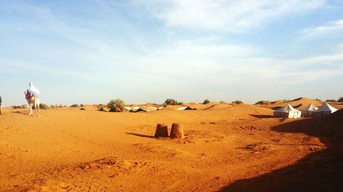 Panoramic view of horse on desert against sky