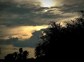 Silhouette trees against dramatic sky during sunset