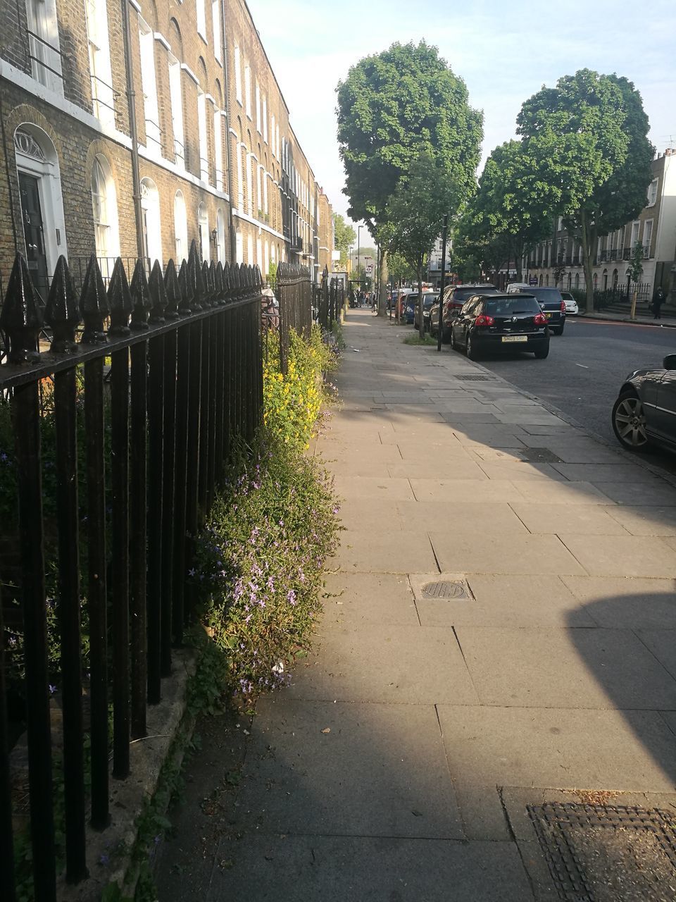 ROAD BY TREES IN CITY