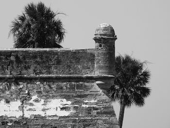 Low angle view of palm tree against sky