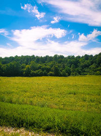 Scenic view of field against sky