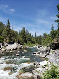 Stream flowing through rocks in forest against sky