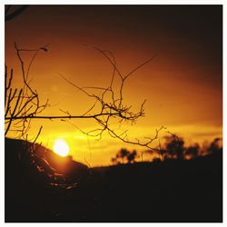 Silhouette of field during sunset
