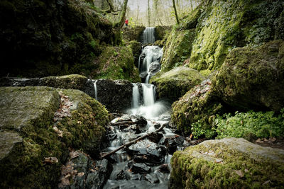 Scenic view of waterfall in forest