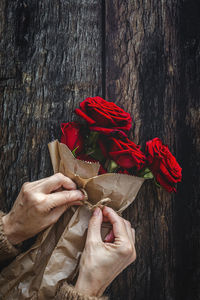 Close-up of hand holding red rose plant