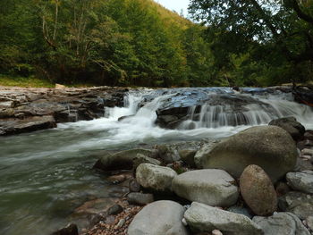 Scenic view of waterfall in forest
