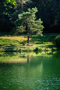 Scenic view of lake by trees