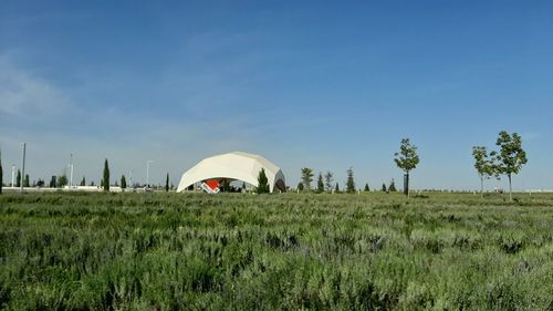 Scenic view of field against blue sky