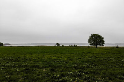 Scenic view of field by sea against sky