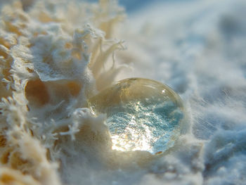 Close-up of water splashing on rocks