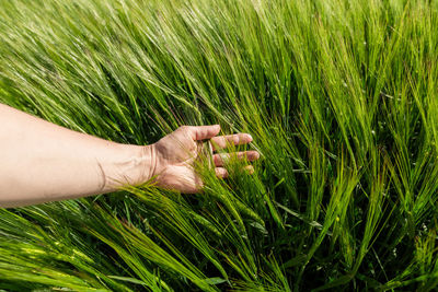 Low section of woman in field