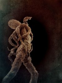 Close-up of building