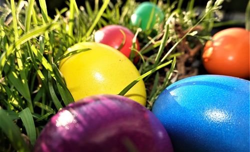 Close-up of multi colored easter eggs