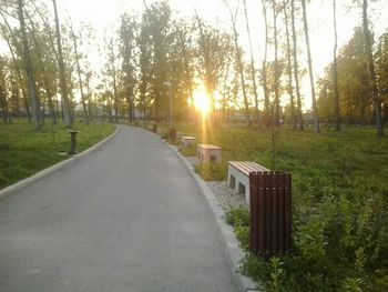 Footpath at sunset