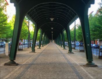 View of trees in row