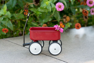 Close-up of butterflies and flower on toy cart