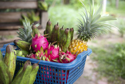 Close-up of pink fruits in basket