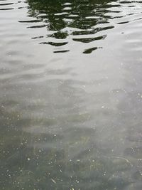 Full frame shot of rippled water in lake