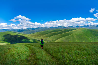 Rear view of man on land against sky