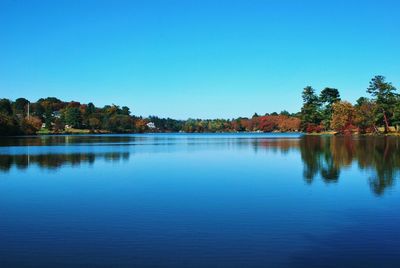 Scenic view of lake against clear blue sky