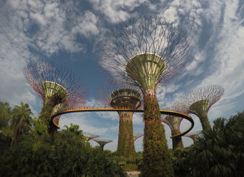 Low angle view of tree against sky