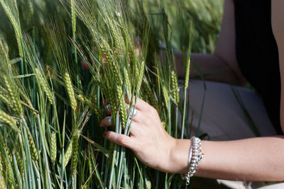 Midsection of man holding plant