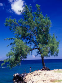 Scenic view of sea against blue sky