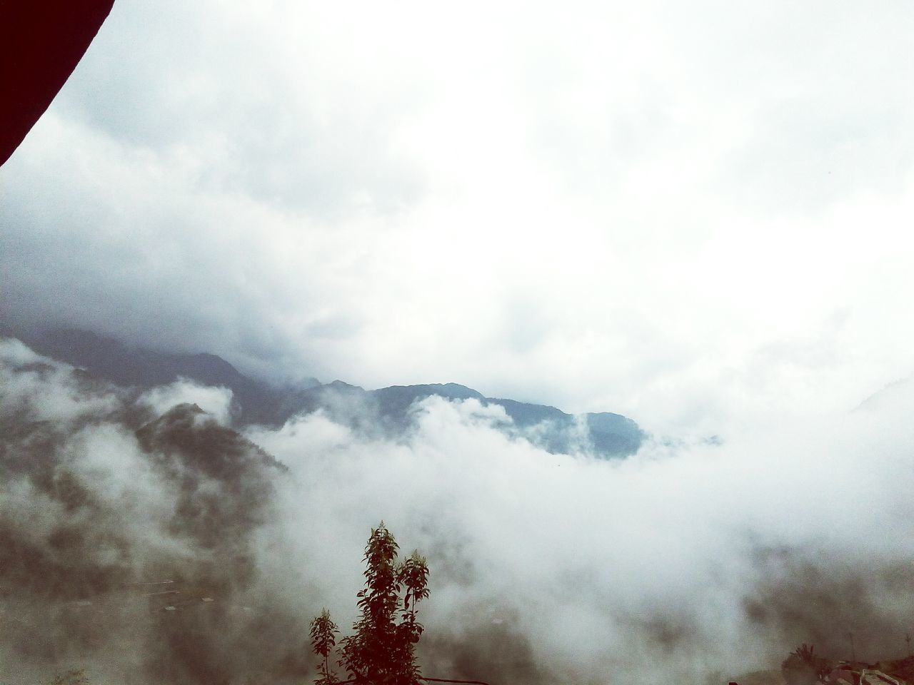 sky, cloud - sky, beauty in nature, tranquility, tranquil scene, tree, scenics - nature, no people, nature, plant, day, fog, non-urban scene, idyllic, outdoors, low angle view, mountain, environment, silhouette, hazy