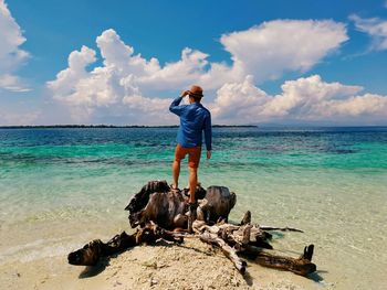 Rear view of man standing on driftwood against sky