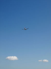 Low angle view of airplane flying in blue sky