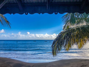 Palm trees on beach against sky