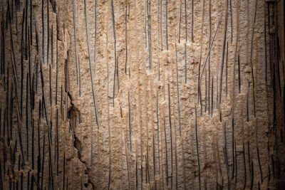 Full frame shot of wooden wall