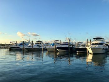 Sailboats moored in harbor