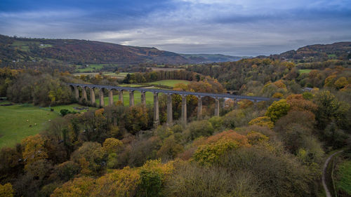 View of trees on landscape