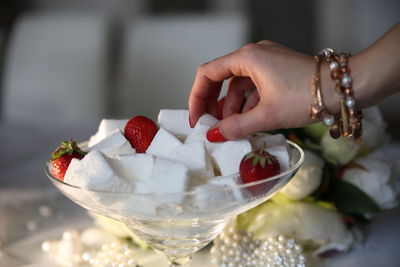 Close-up of hand holding sugar cubes