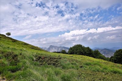 Scenic view of field against sky
