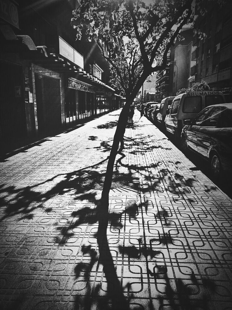 built structure, architecture, building exterior, transportation, street, tree, shadow, city, sunlight, bicycle, mode of transport, land vehicle, building, no people, outdoors, day, parking, the way forward, absence, sidewalk