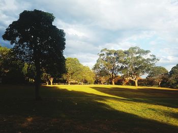 Trees on grassy landscape against sky