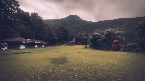 Scenic view of field against mountain