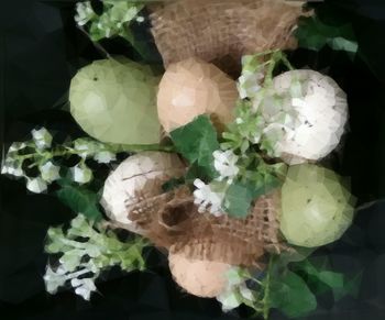 Close-up of white flowers