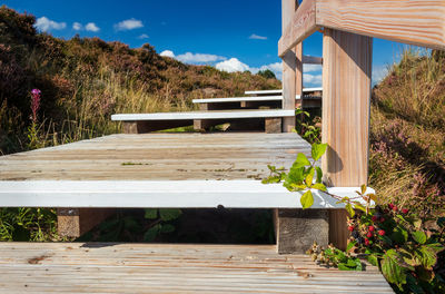 View of bench and plants in park