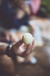 Close-up of hand holding apple