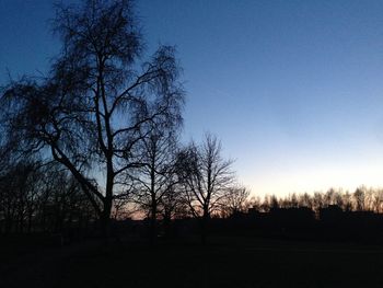 Bare trees on landscape at sunset