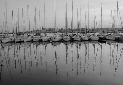 Sailboats in harbor