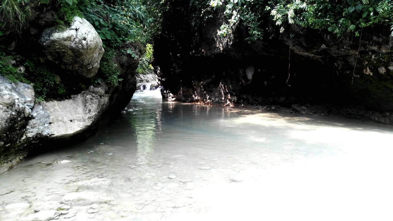 water, tree, tranquility, nature, tranquil scene, rock - object, beauty in nature, reflection, scenics, waterfront, river, lake, growth, rock formation, day, forest, outdoors, idyllic, non-urban scene, no people